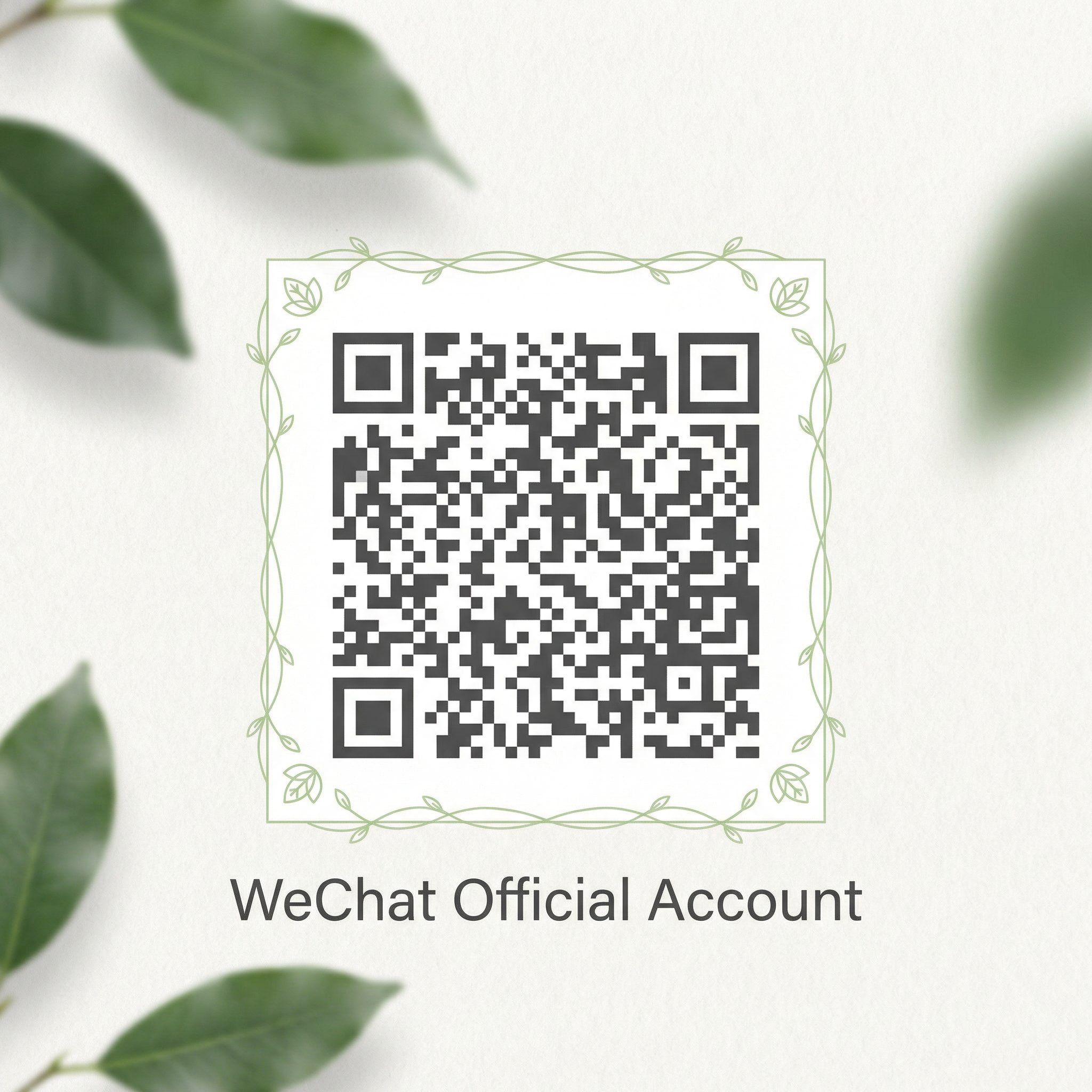 反差公众号二维码